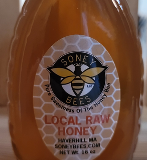 Honey  Raw  16 oz