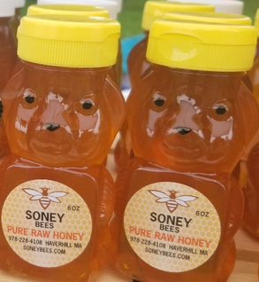 8oz Honey Bear