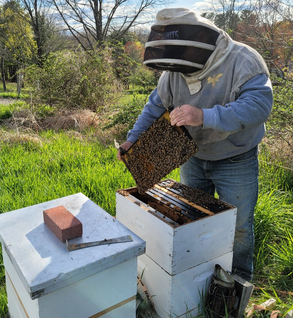 Beekeeping Class